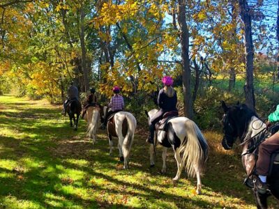 Whispering Springs Horse Farm