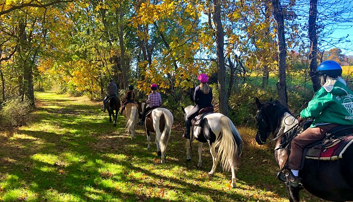 Whispering Springs Horse Farm