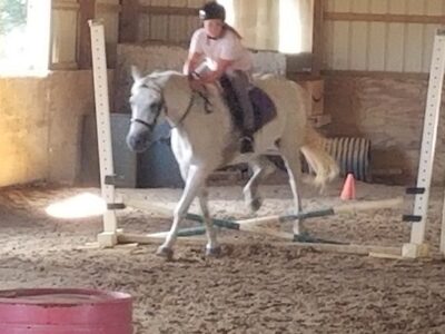 Tamarack Stables