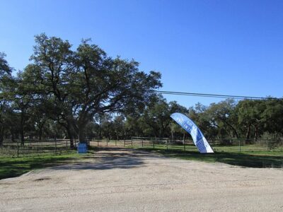 Hollow Tree Ranch