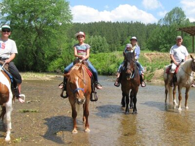 Riverside Riding Stables