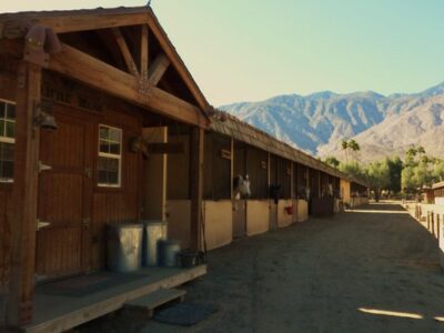 Smoke Tree Stables