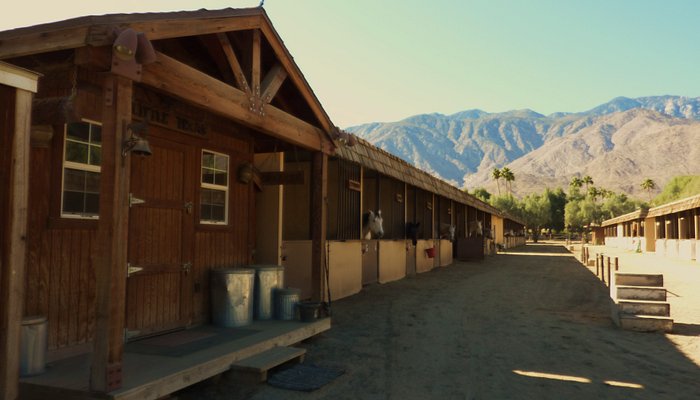 Smoke Tree Stables