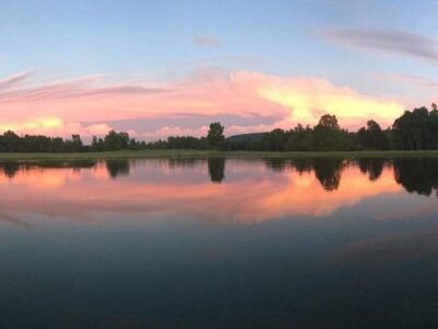 Boyd Family Ranch