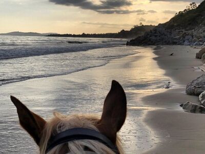 Summerland Beach Rides
