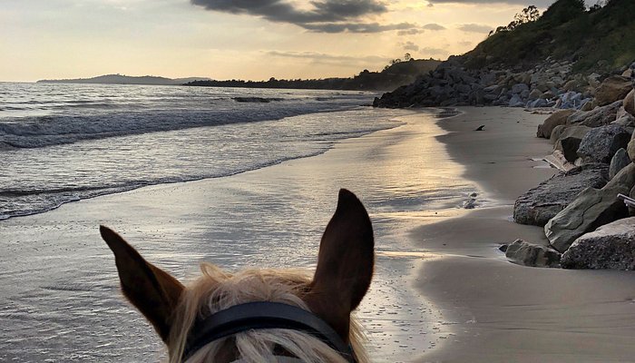 Summerland Beach Rides