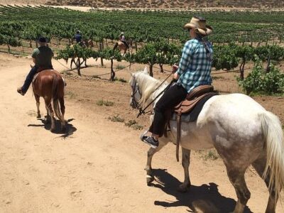 Temecula Wine Country Horseback Riding