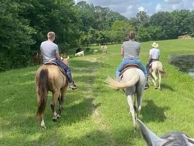 The Williams Ranch