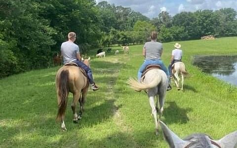 The Williams Ranch