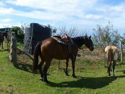 Thompson Ranch Riding Stables
