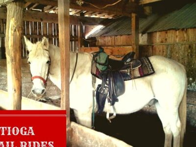 Tioga Trail Rides