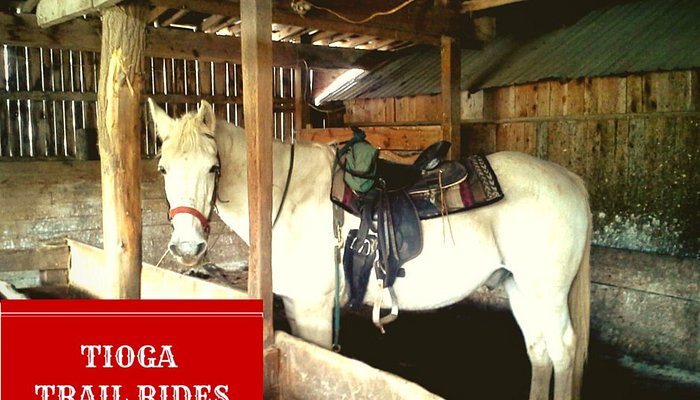 Tioga Trail Rides