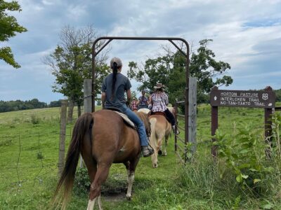 D & K Ranch