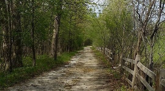 Forest View Farms