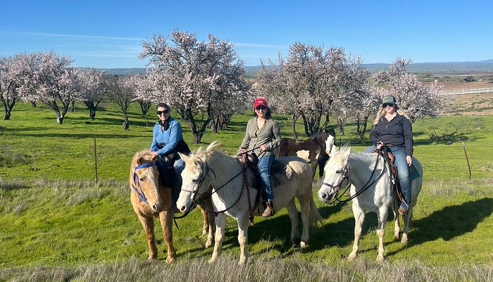 Paso Robles Pastures