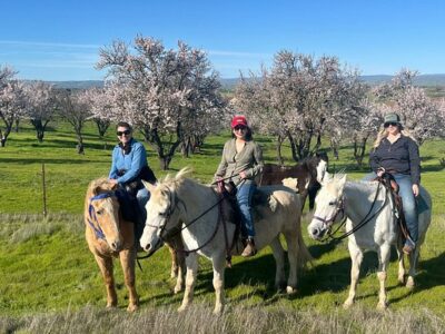 Paso Robles Pastures
