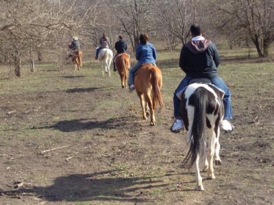 River Ranch at Texas Horse Park