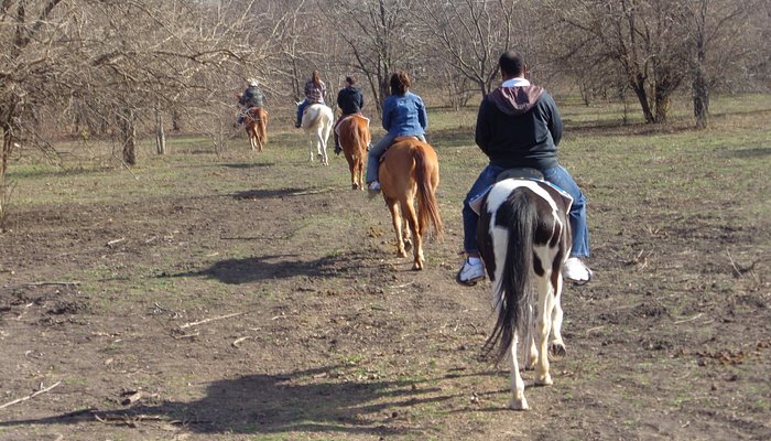 River Ranch at Texas Horse Park