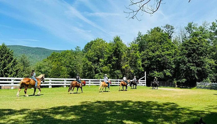 Dancing Horses, Llc