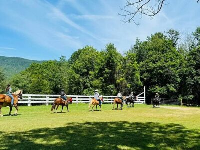 Dancing Horses, Llc