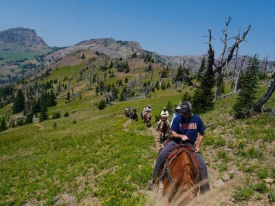 Absaroka-Beartooth Outfitters: Bear Tooth Mountains Montana