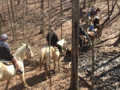 Fall Creek Falls Riding Stables