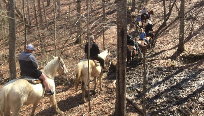Fall Creek Falls Riding Stables