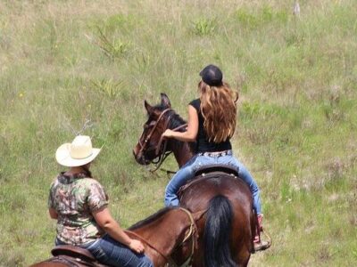 Southern Trails