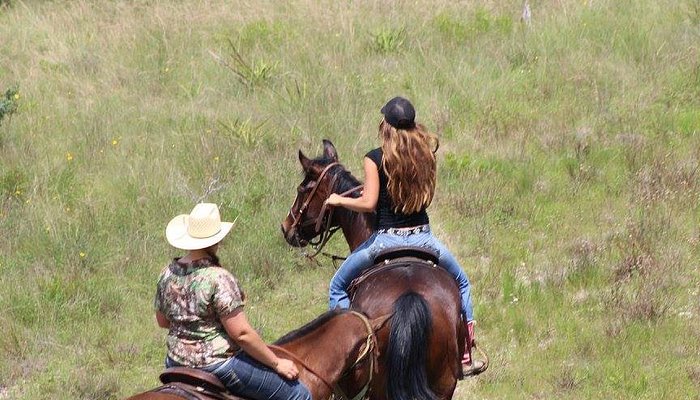 Southern Trails
