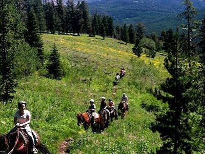 Specimen Creek Outfitters