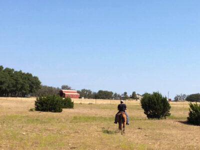Bit & Bridle Stables