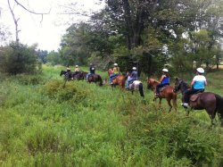 Nittany Mountain Trail Rides