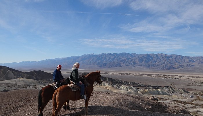 Furnace Creek Stables