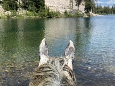 Redfish Lake Corrals- Mystic Saddle Ranch