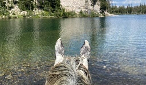 Redfish Lake Corrals- Mystic Saddle Ranch