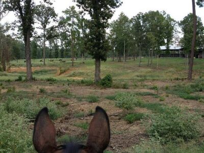 Edgebrook Equestrian Center