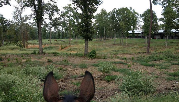 Edgebrook Equestrian Center