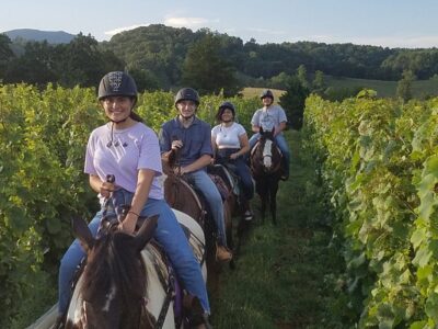 Fieldstone Trails, Llc