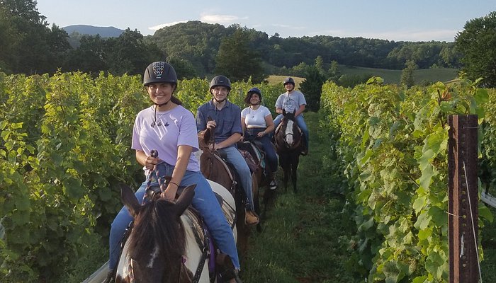 Fieldstone Trails, Llc