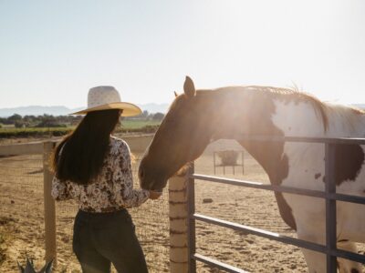 Santa Barbara: Horseback Riding and Wine Tasting Tour
