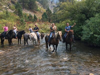 Andy's Trail Rides