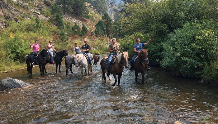 Andy's Trail Rides
