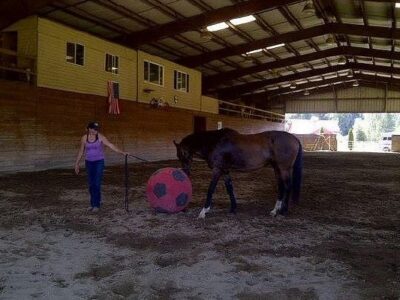 ThunderFoot Riding