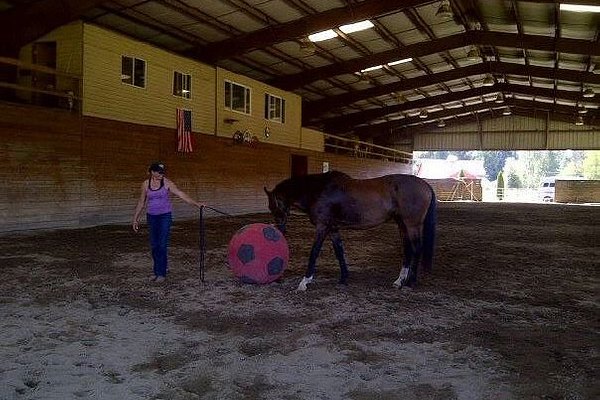 ThunderFoot Riding