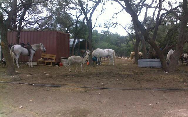 Westcreek Trail Rides