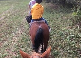 Western Trails