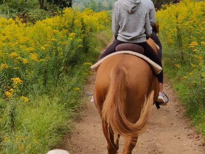 Western Trails