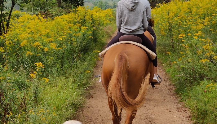 Western Trails
