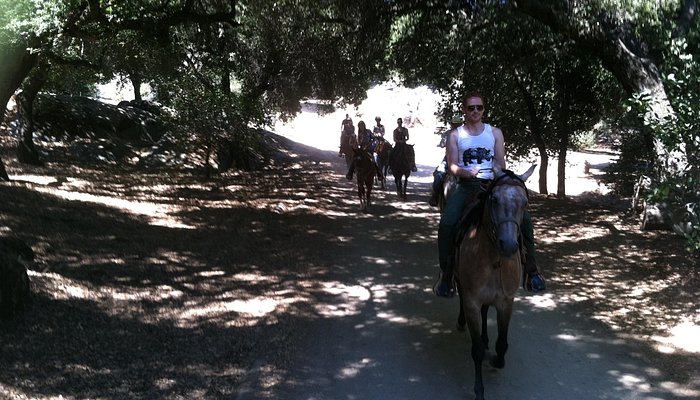Vineyard Trail Rides