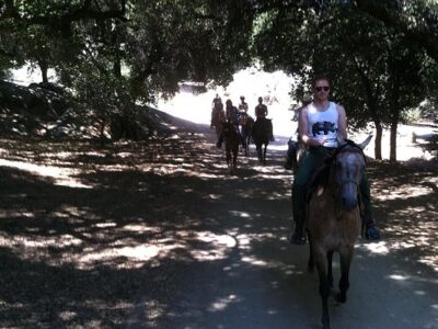 Vineyard Trail Rides